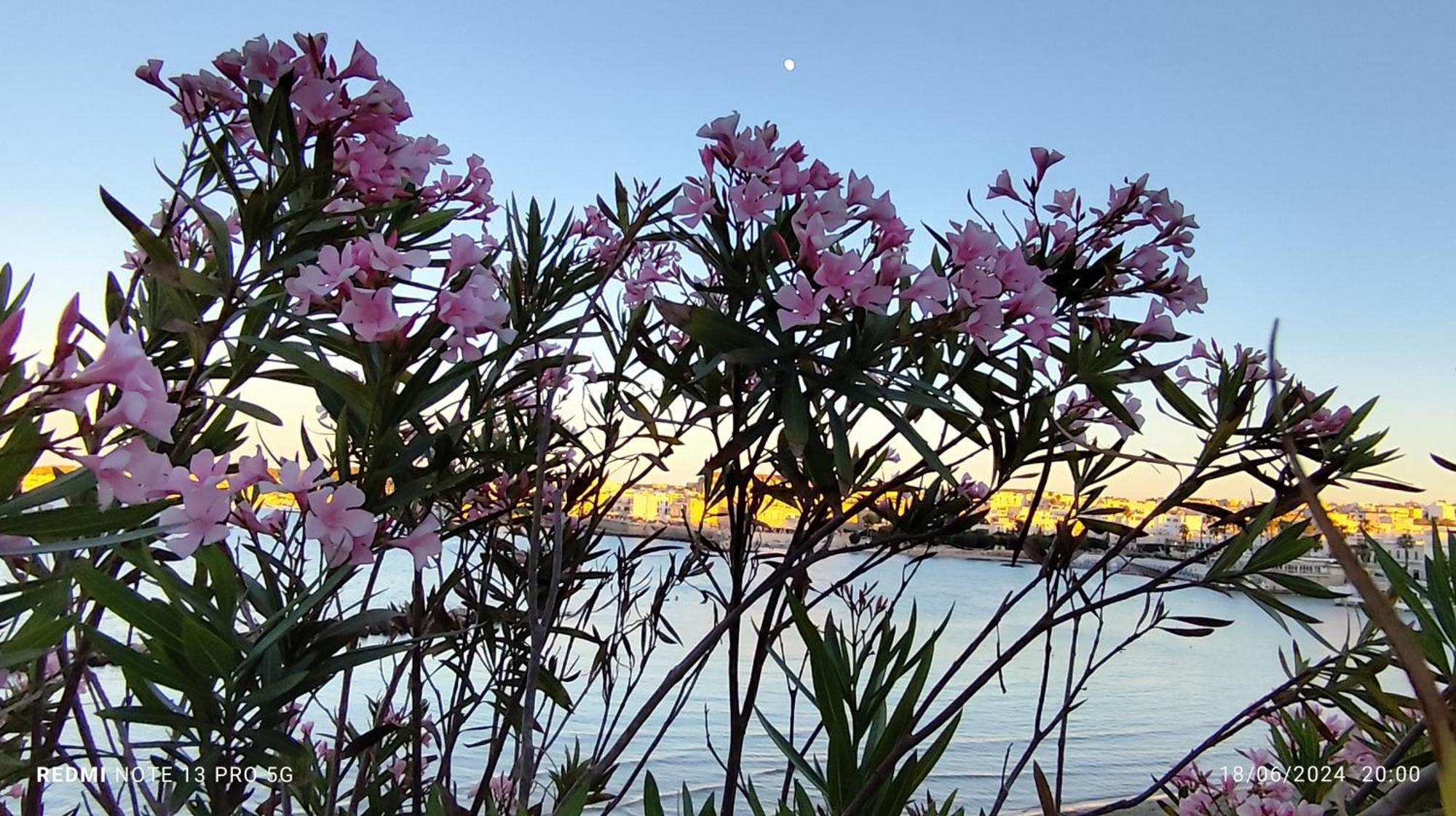 Otranto Mare E Spiagge Otranto Mon Amour Exterior foto